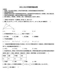 2021-2022学年湖北省随州市曾都区实验中学中考数学仿真试卷含解析