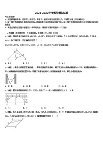 2021-2022学年湖南省益阳市资阳区国基实验校中考数学模拟精编试卷含解析