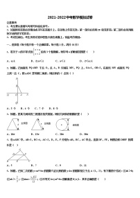 2021-2022学年湖南省娄底市涟源市市级名校中考数学仿真试卷含解析