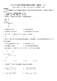 2022年云南省七年级下册期末模拟考试数学 试题卷 （三）