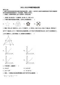 2021-2022学年湖南省郴州市北湖区鲁塘中学中考数学五模试卷含解析