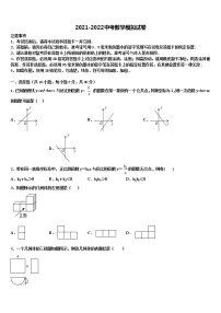 2021-2022学年徽省临泉重点达标名校中考数学考试模拟冲刺卷含解析