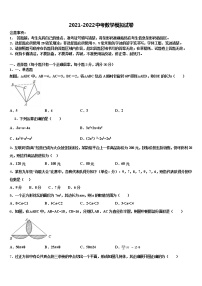 2021-2022学年吉林省白城市大安市达标名校中考数学模拟精编试卷含解析