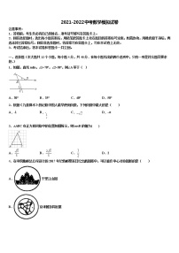 2021-2022学年湖南省岳阳市岳阳县达标名校中考数学模拟预测题含解析