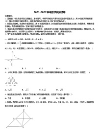 2021-2022学年湖南省长沙市宁乡县重点达标名校中考数学押题试卷含解析