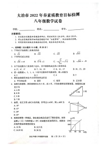 湖北省大冶市八年级下册数学期末考试卷