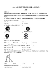 河南省南阳市新野县2021-2022学年七年级下学期期末数学试题(word版含答案)