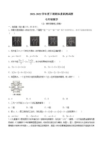 河南省驻马店市泌阳县2021-2022学年七年级下学期期末数学试题(word版含答案)