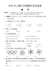 湖南省怀化市通道县2021-2022学年七年级下学期期末考试数学试题(word版含答案)