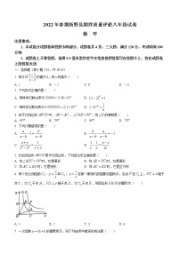 河南省南阳市新野县2021-2022学年八年级下学期期末数学试题(word版含答案)