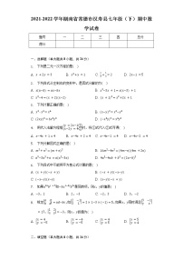 2021-2022学年湖南省常德市汉寿县七年级（下）期中数学试卷（含解析）