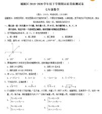 福建省莆田市城厢区2019-2020学年度下学期期末质量检测试卷七年级数学试题PDF版