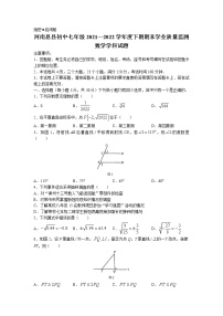 河南省信阳市息县2021-2022学年七年级下学期期末数学试题（含答案）