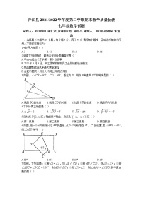 安徽省合肥市庐江县2021-2022学年七年级下学期期末数学试题（无答案）