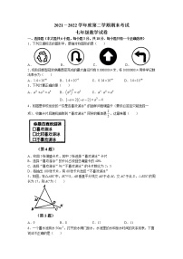 江西省鹰潭市余江区2021-2022学年七年级下学期期末数学试题(无答案)