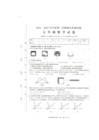 江西省吉安县2021-2022学年七年级下学期数学期末质量检测试题（含答案）