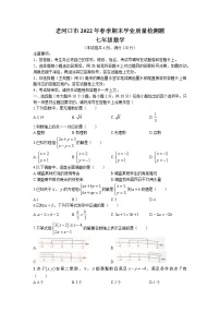 湖北省襄阳市老河口市2021-2022学年七年级下学期期末数学试题(无答案)