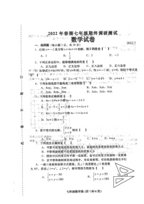 河南省南阳市镇平县2021-2022学年七年级下学期期末考试数学试卷（含答案）