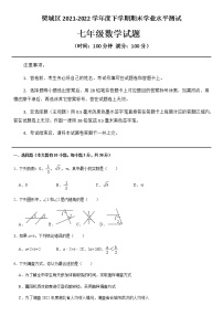 湖北省襄阳市樊城区2021-2022学年七年级下学期期末学业水平诊断数学试题（无答案）