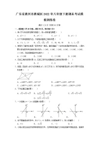 广东省惠州市惠城区2021-2022学年八年级下学期期末考试模拟训练卷（含答案）