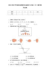 2021-2022学年湖北省随州市高新区七年级（下）期中数学试卷（含解析）