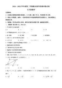 河南省商丘市梁园区2021-2022学年七年级下学期期末数学试题