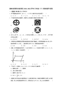 湖南省邵阳市新邵县2021-2022学年八年级下学期期末数学试卷（无答案）