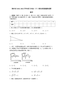 广西壮族自治区柳州市2021-2022学年八年级下学期期末数学试题（含答案）