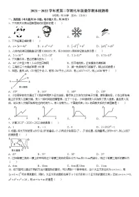 广东省河源市源城区2021-2022学年七年级下学期期末数学试题(无答案)