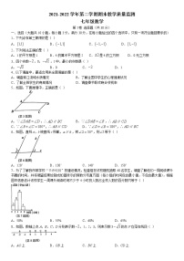 广东省广州市番禺区2021-2022学年七年级下学期期末数学试题(无答案)