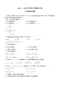 湖北省襄阳市枣阳市2021-2022学年七年级下学期期末数学试题(word版含答案)