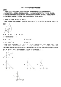 2021-2022学年江苏省新沂市~度第二期期重点达标名校中考数学猜题卷含解析