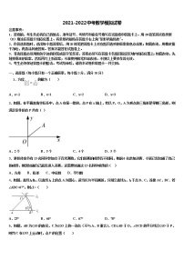 2021-2022学年乐山市沙湾区市级名校中考数学模拟试题含解析