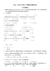 江苏省苏州工业园区某校2021-2022学年七年级下学期期末调研数学试卷 (word版含答案)