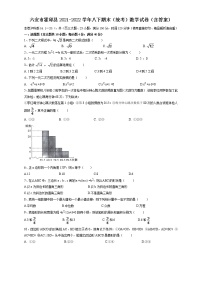 安徽省六安市霍邱县2021-2022学年八年级下学期期末（统考）数学试卷  (word版含答案)