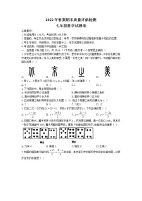 河南省南阳市宛城区2021-2022学年七年级下学期期末数学试题（含答案）