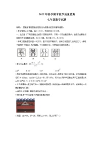 四川省达州市渠县2021-2022学年七年级下学期期末考试数学测试题