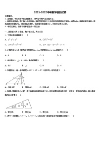 2021-2022学年陕西省榆林市米脂县中考一模数学试题含解析