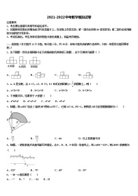 2021-2022学年上海市青浦区名校中考数学模拟试题含解析