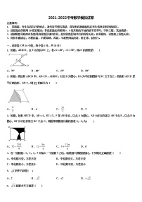 2021-2022学年四川省成都七中重点名校中考数学模拟试题含解析