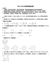 2021-2022学年四川省广元苍溪县联考中考数学适应性模拟试题含解析