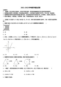 2021-2022学年四川省凉山市喜德县达标名校中考数学最后冲刺浓缩精华卷含解析