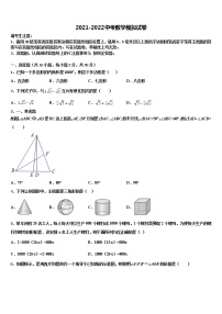 2021-2022学年泰州市智堡实验校中考数学模试卷含解析