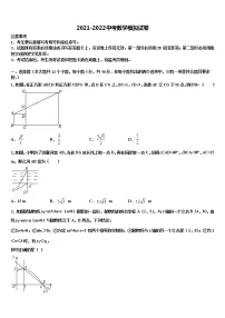 2021-2022学年西藏自治区工布江达县中考数学仿真试卷含解析