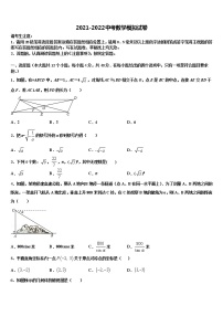 2021-2022学年云南省石林彝族自治县重点名校中考数学押题试卷含解析