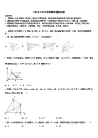 2021-2022学年浙江省杭州市景芳中学中考数学对点突破模拟试卷含解析