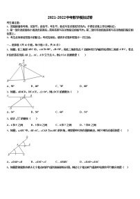 2021-2022学年浙江省温州瑞安市新纪元实验校中考四模数学试题含解析