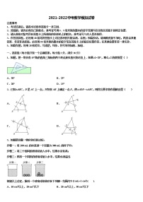 2021-2022学年内蒙古锡林郭勒盟正镶白旗察汗淖中学中考联考数学试题含解析