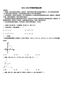 2021-2022学年宁夏省吴忠市中考适应性考试数学试题含解析