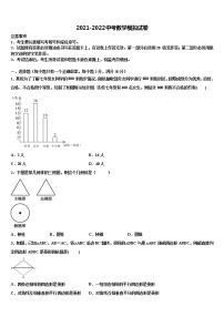 2021-2022学年宁夏省石嘴山市中考数学对点突破模拟试卷含解析